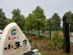 武汉大学江夏区五里界街童周岭村小朱湾现场教学