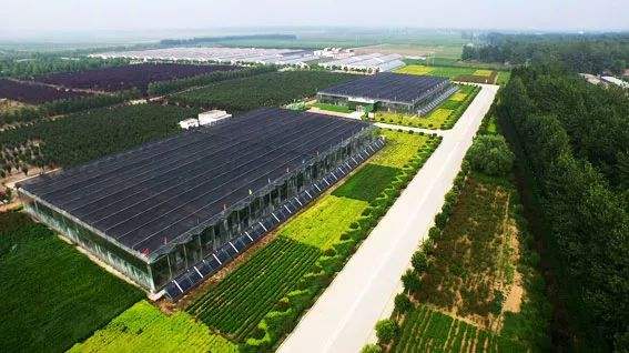 武汉大学生态农业园区规划建设培训班(图1) 武汉大学生态农业园区规划建设培训班