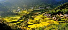 武汉大学生态农业与乡村旅游发展专题培训班