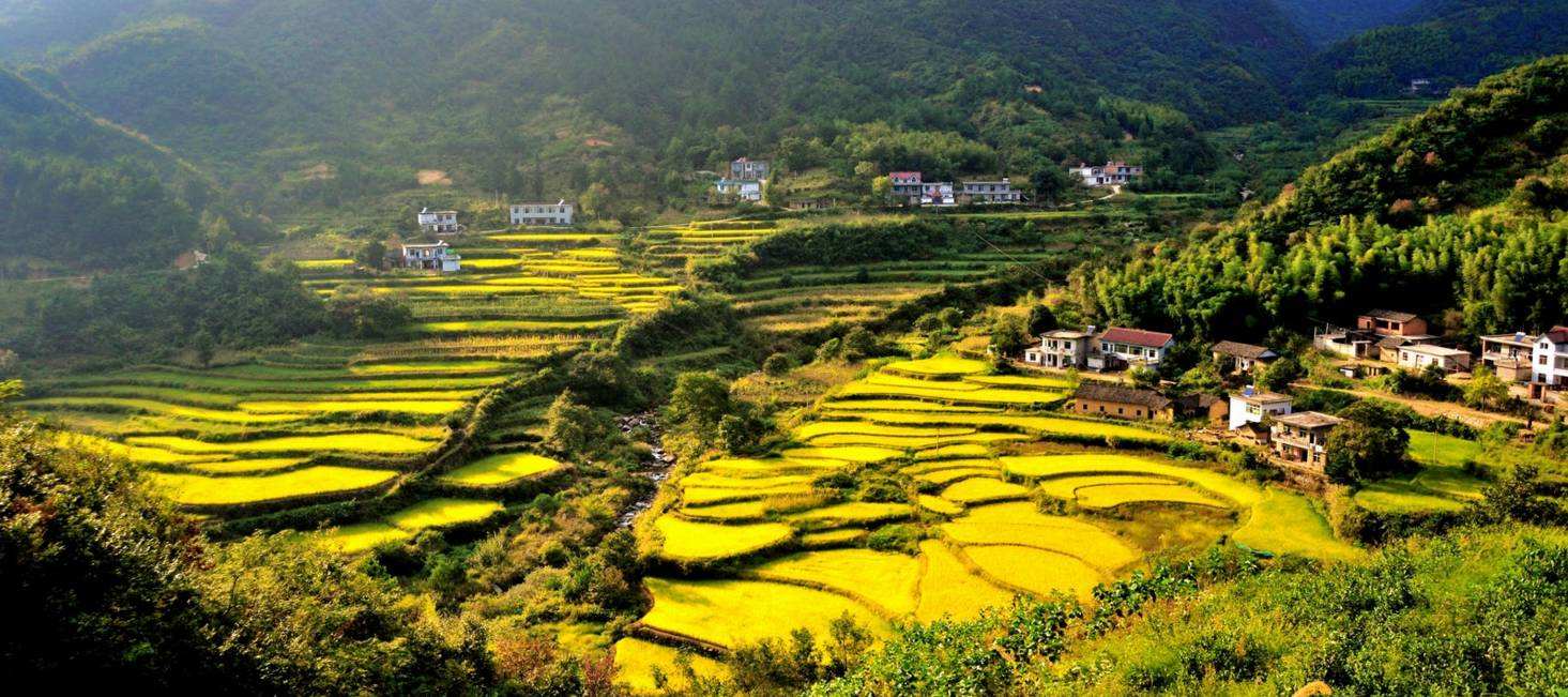 武汉大学生态农业与乡村旅游发展专题培训班(图1) 武汉大学生态农业与乡村旅游发展专题培训班