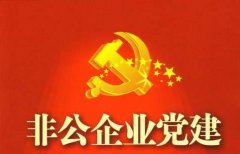 武汉大学2020年非公企业党建专题培训班_课程_方案_计划