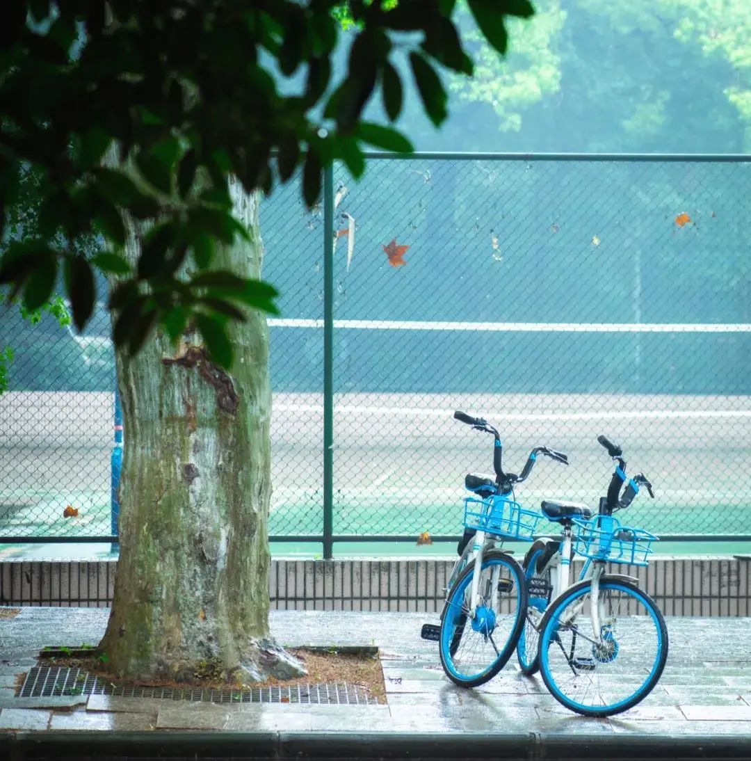 珞珈雨时，想念你(图5)