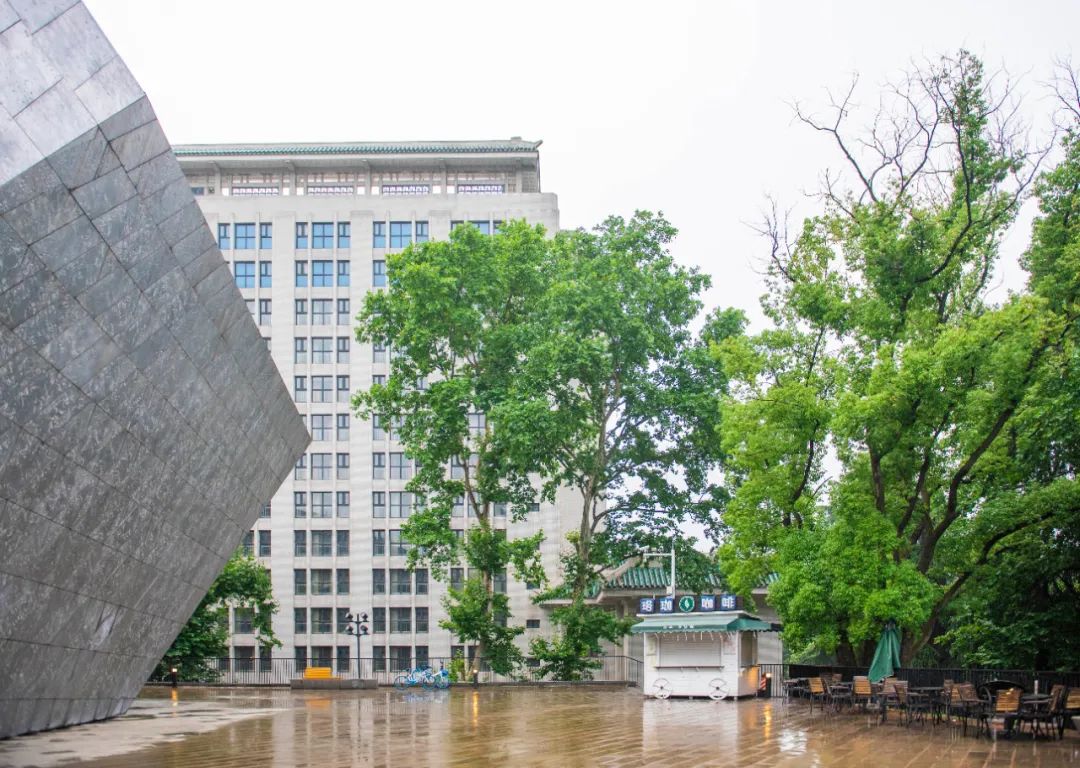 珞珈雨时，想念你(图11)