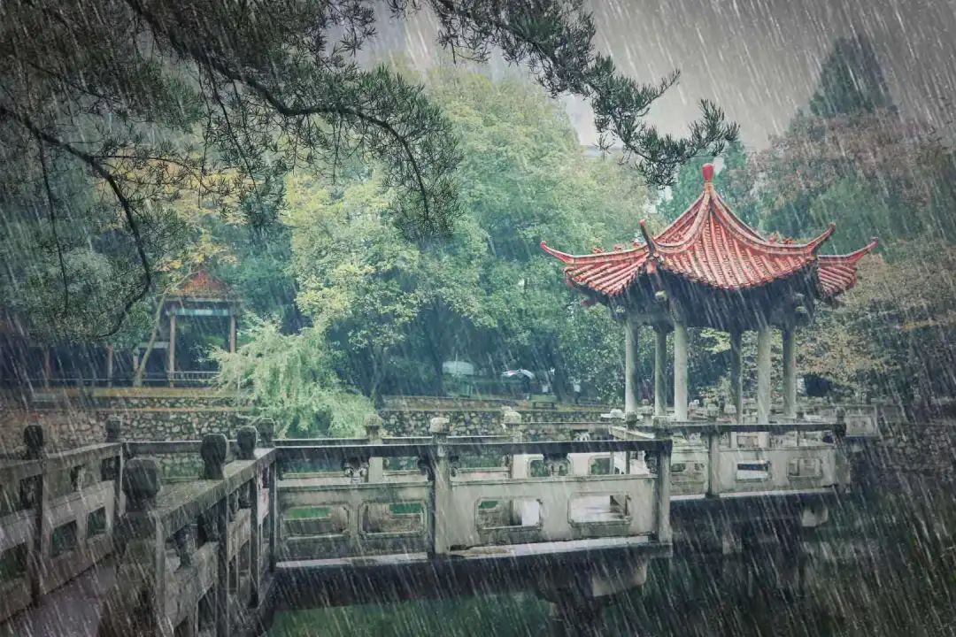 珞珈雨时，想念你(图7)